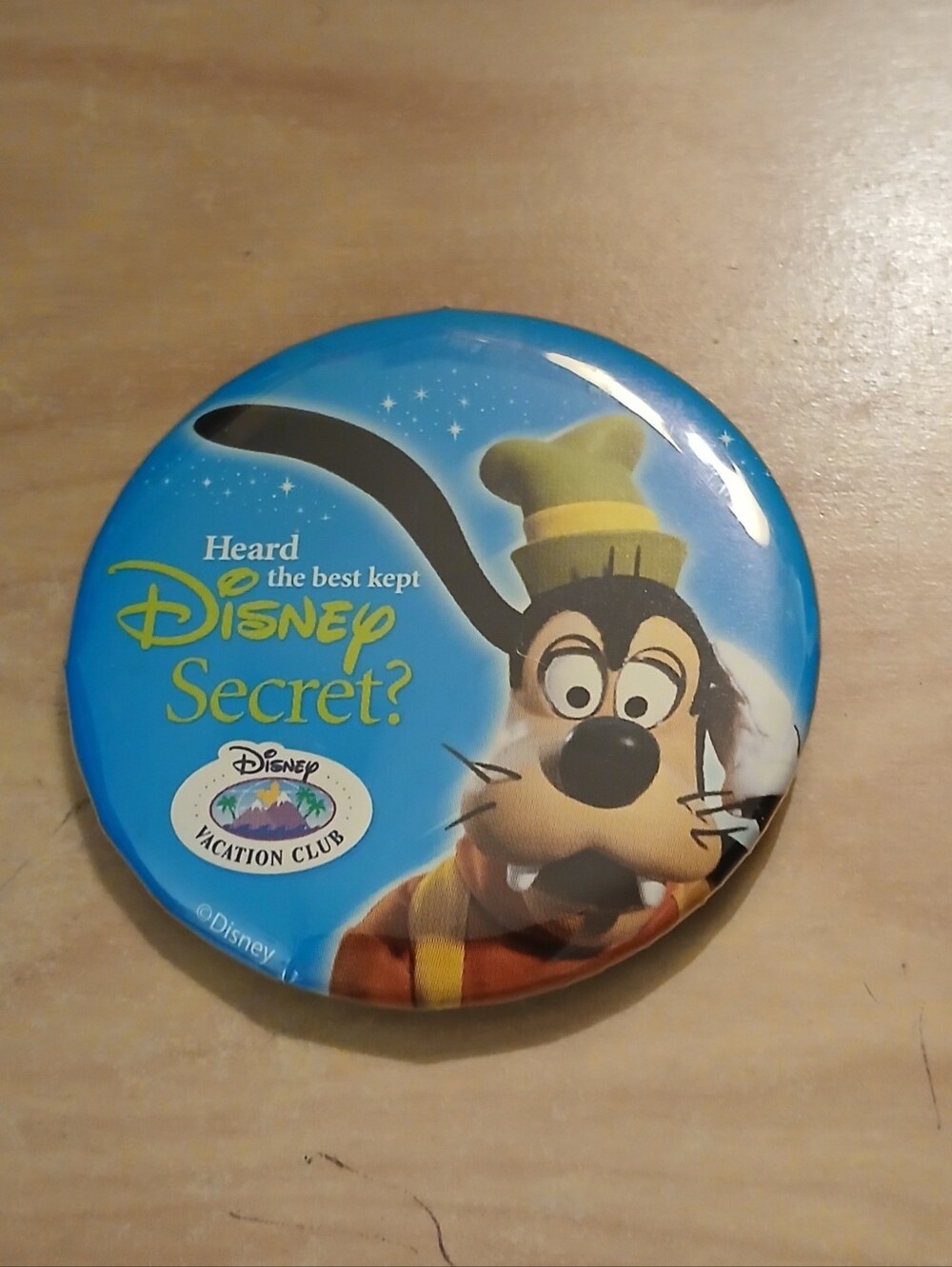 Vintage Disney Vacation Club Promotional Button Pi